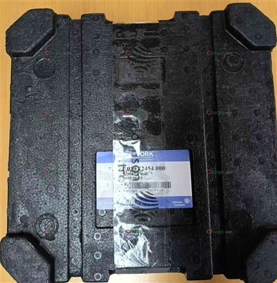 यॉर्क 029 22454 000 दस्ता सील